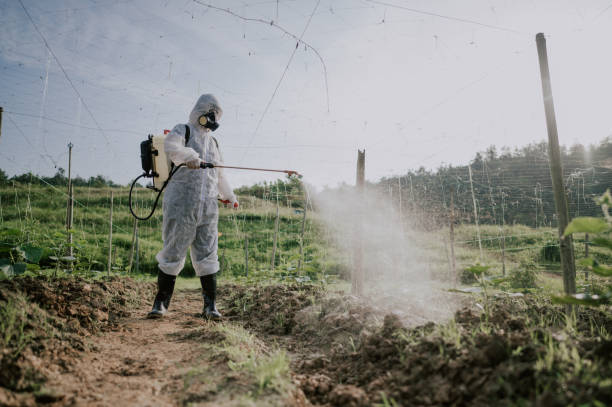 Best Affordable Pest Control Services  in Bridgeport, WV