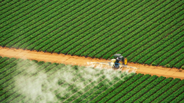 Insect Control in Bridgeport, WV